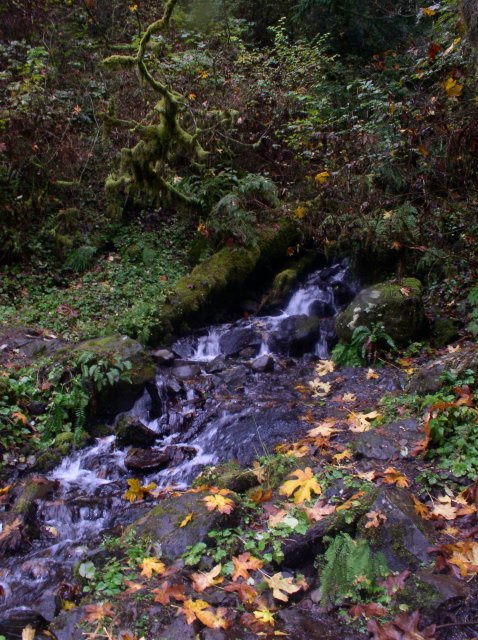 10.28.05 Devil's Rest 150 